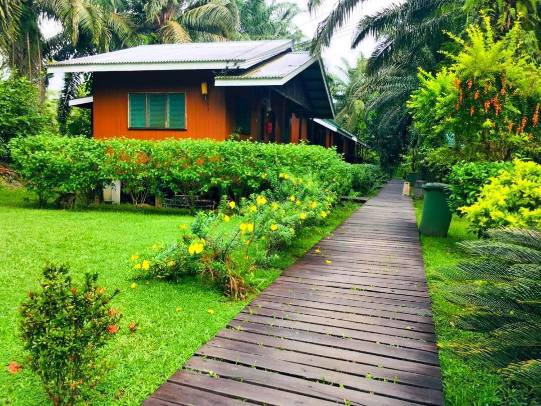 Sukau Backpackers Bed & Breakfast Bed and Breakfast Buitenkant foto